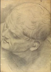 Sketch of a Male Head Seen from Above